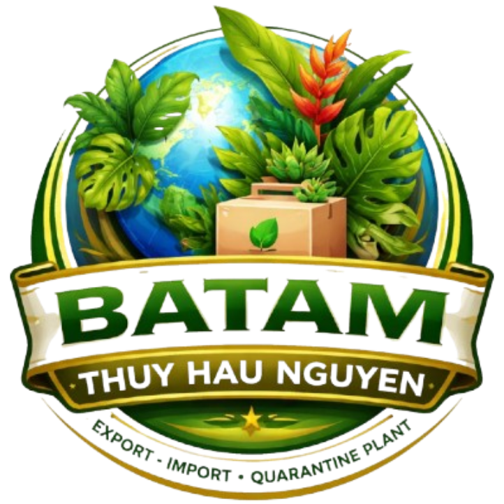 logo-main
